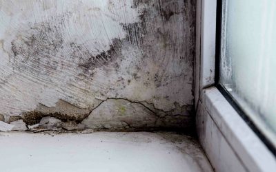 DAMPNESS: A Comprehensive Overview
